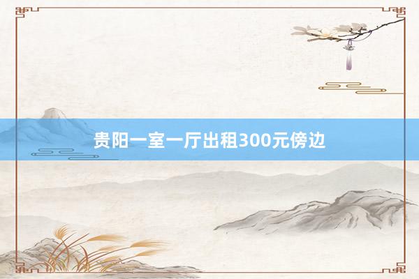 贵阳一室一厅出租300元傍边
